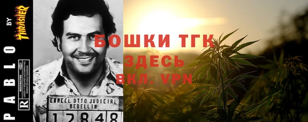 не бодяженный Новодвинск